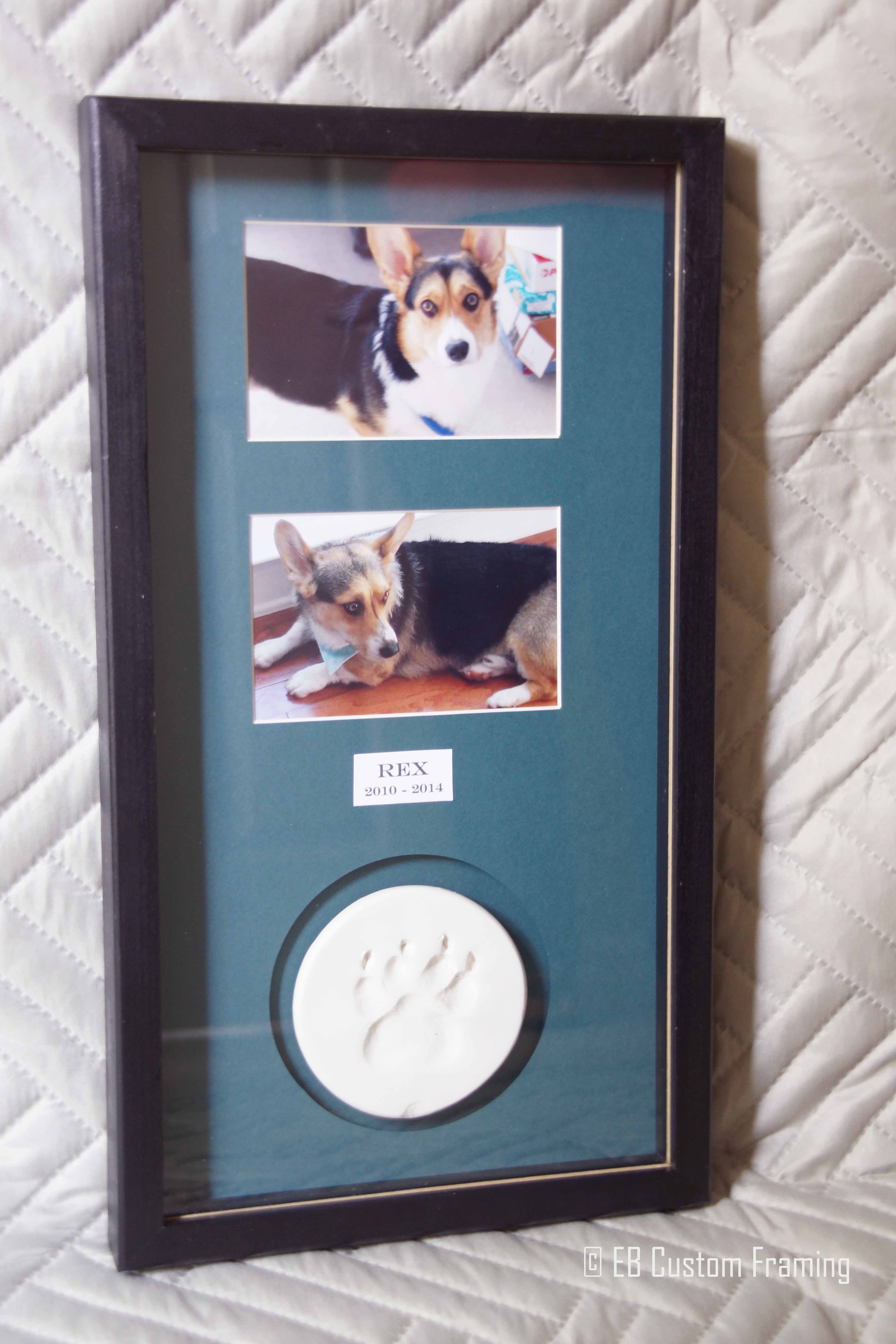 Rex memory box full view